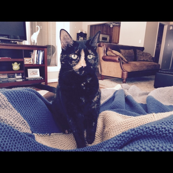 Meet your Posher, Sherri - Picture 2 of 3